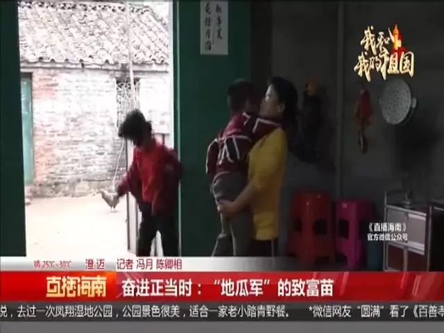 种富硒地瓜苗哪里有卖（富硒地瓜种植技术视频教程）-硒宝网