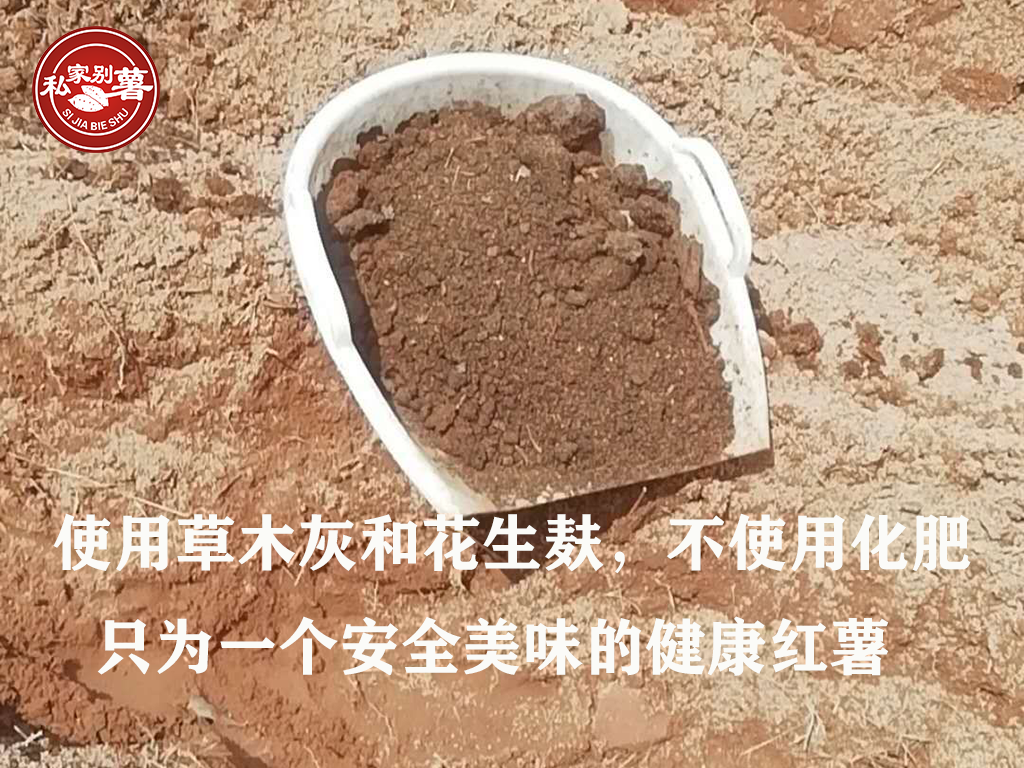 富硒地瓜蒸烂了怎么办（富硒地瓜有毒吗）-硒宝网