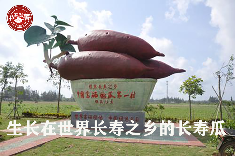 富硒地瓜蒸烂了怎么办（富硒地瓜有毒吗）-硒宝网