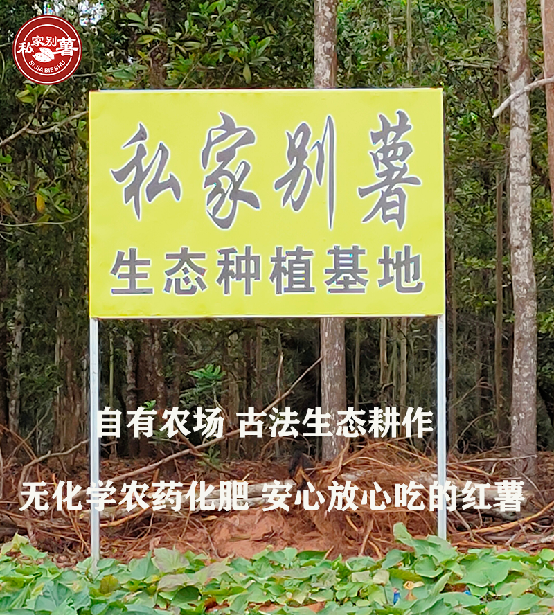 富硒地瓜蒸烂了怎么办（富硒地瓜有毒吗）-硒宝网