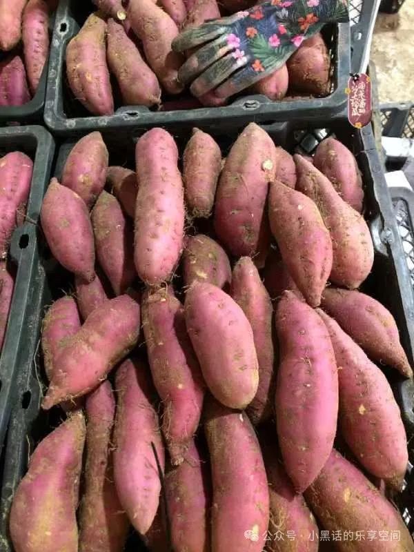 富硒地瓜都甜没有筋吗(甜地瓜富硒没有什么作用)-硒宝网