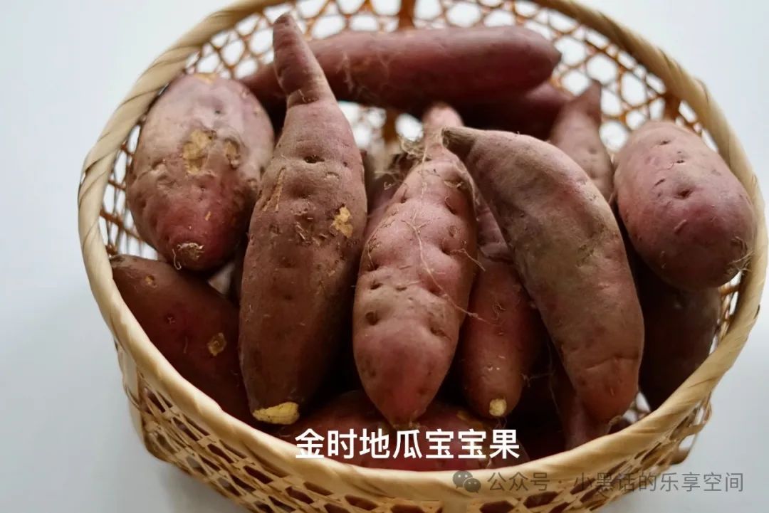 富硒地瓜都甜没有筋吗(甜地瓜富硒没有什么作用)-硒宝网