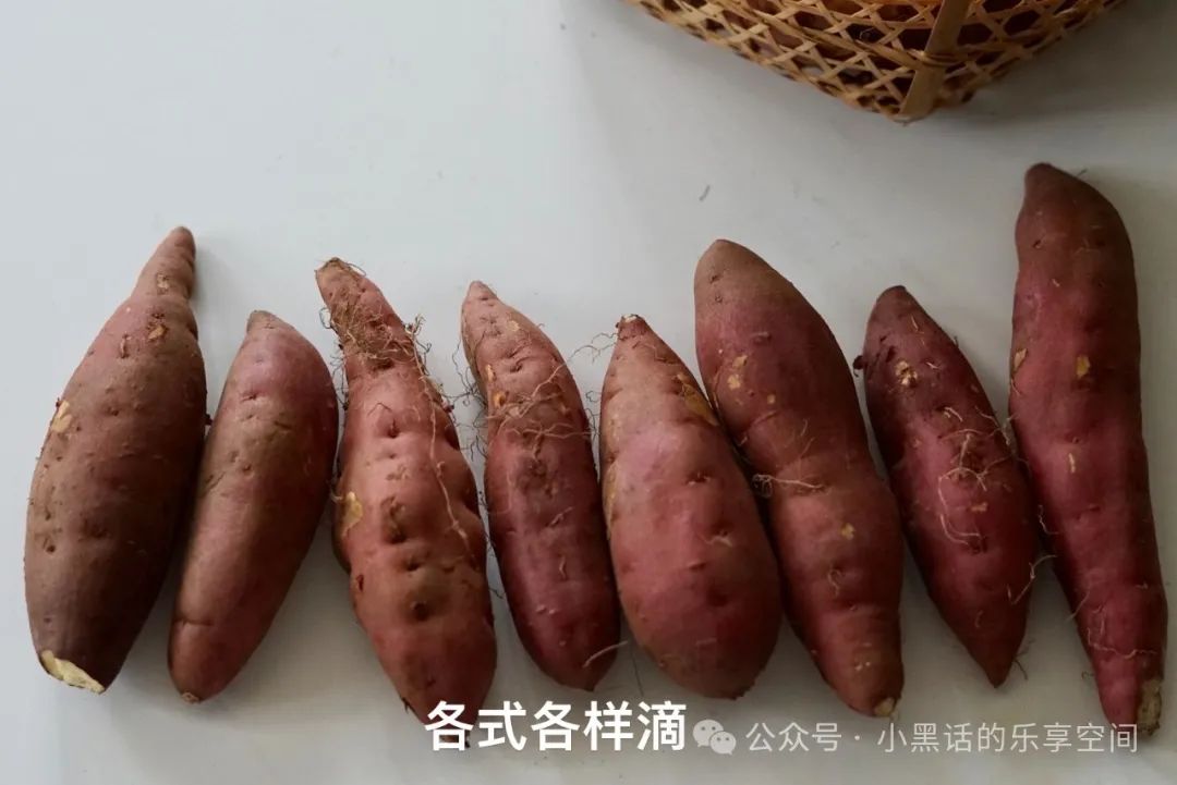 富硒地瓜都甜没有筋吗(甜地瓜富硒没有什么作用)-硒宝网