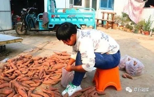 富硒地瓜跟烟薯哪个好(烟薯和地瓜营养有什么区别)-硒宝网