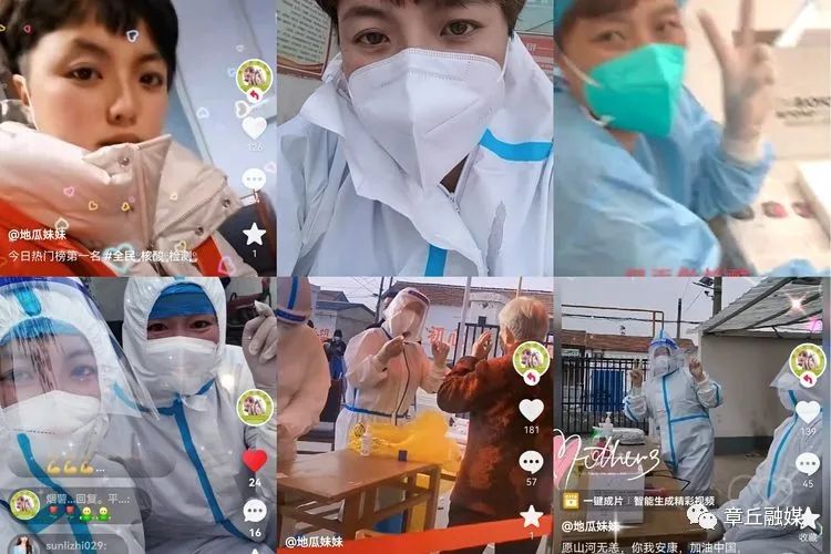 富硒地瓜跟烟薯哪个好(烟薯和地瓜营养有什么区别)-硒宝网