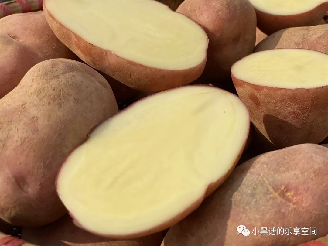 海南富硒地瓜顺丰包邮（海南地瓜价格）-硒宝网