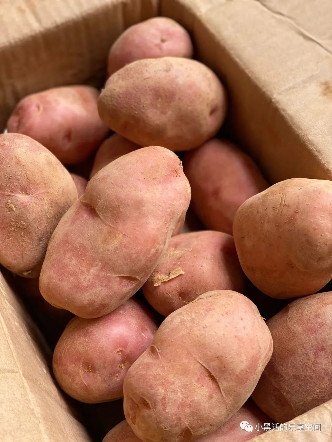 海南富硒地瓜顺丰包邮（海南地瓜价格）-硒宝网