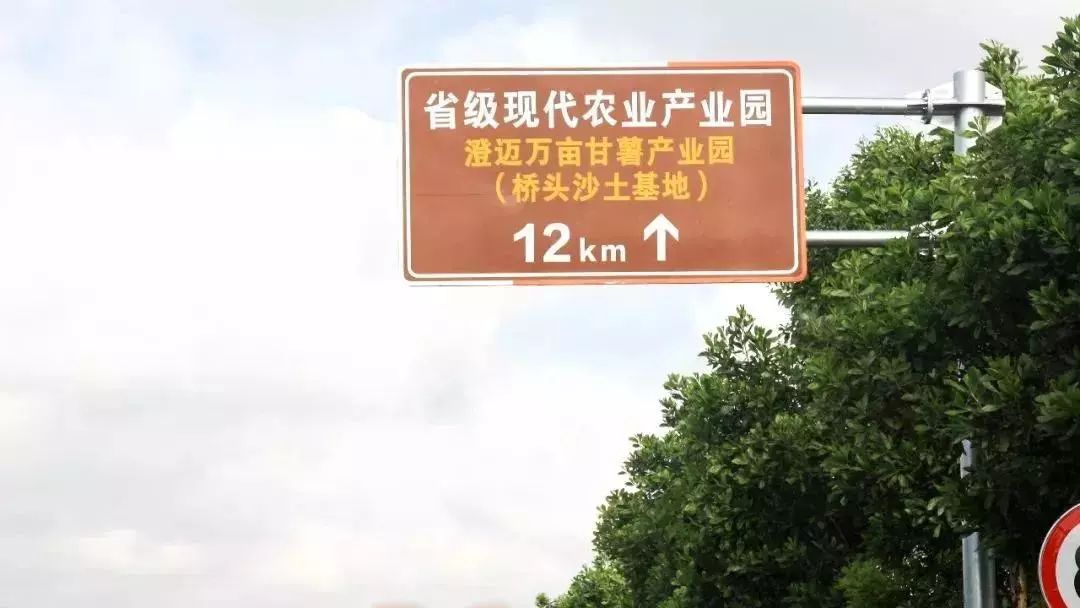 海南富硒地瓜顺丰包邮(海南富硒地瓜怎么那么贵)-硒宝网