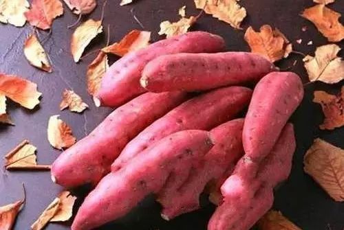 富硒的地瓜是什么样的(富硒地瓜好吃吗)-硒宝网