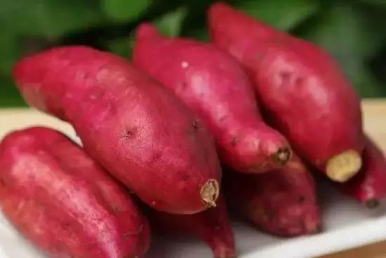 富硒的地瓜是什么样的(富硒地瓜好吃吗)-硒宝网