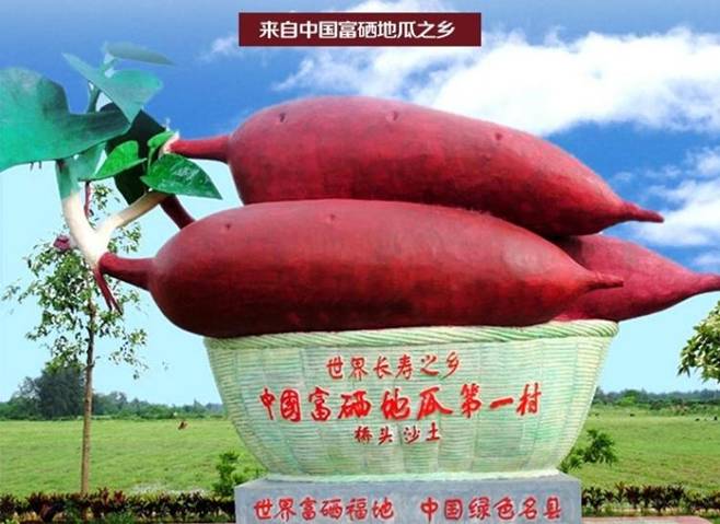 富硒的地瓜是什么样的(富硒地瓜好吃吗)-硒宝网