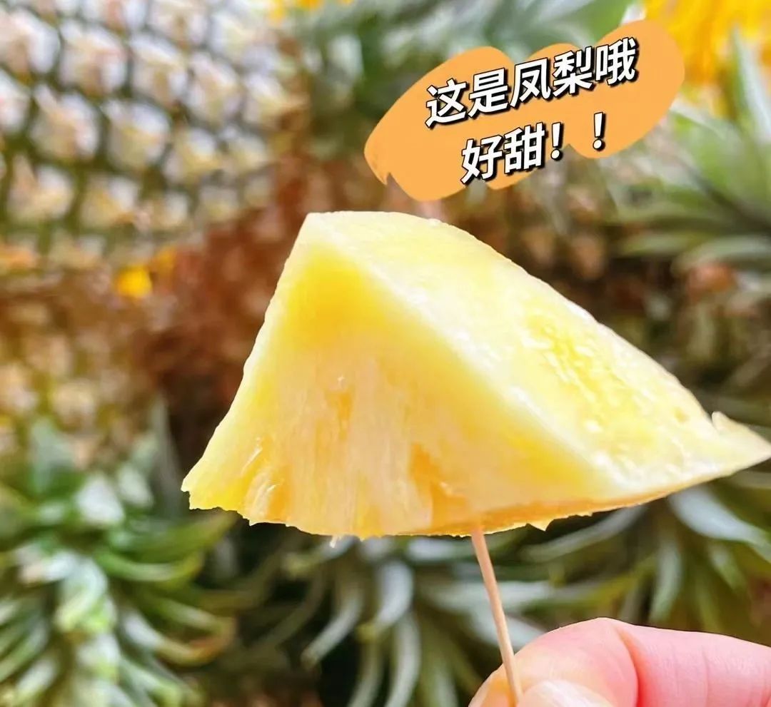 富硒的地瓜是什么样的(富硒地瓜真的含硒吗)-硒宝网