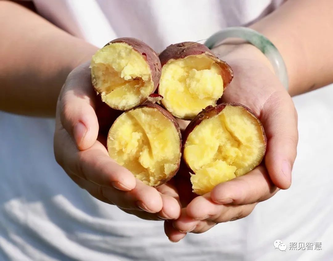 富硒的地瓜是什么样的(富硒地瓜真的含硒吗)-硒宝网