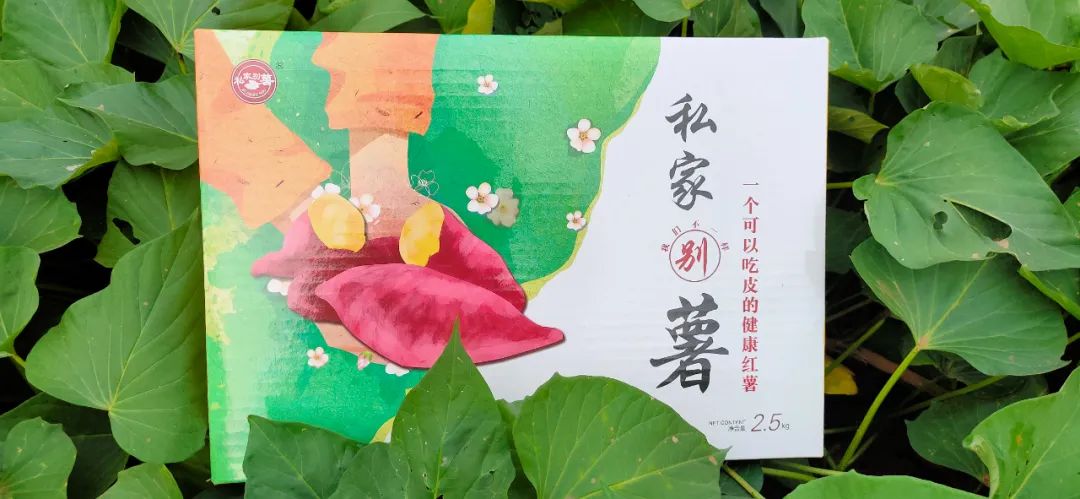 吃富硒地瓜瘦吗会瘦吗(瘦地瓜吃富硒会胖吗)-硒宝网