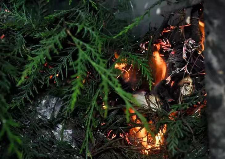 吃富硒地瓜瘦吗会瘦吗（富硒地瓜减肥吗）-硒宝网