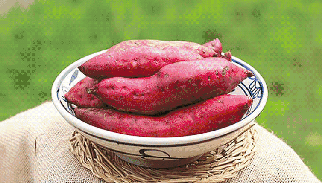 富硒地瓜和红薯一样吗（富硒地瓜营养价值）-硒宝网