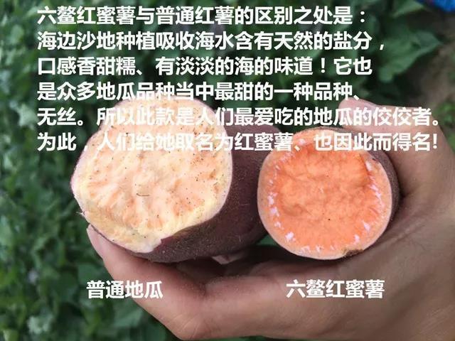 富硒地瓜和红薯一样吗（富硒地瓜营养价值）-硒宝网