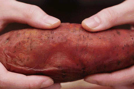 富硒地瓜和红薯一样吗（富硒地瓜营养价值）-硒宝网