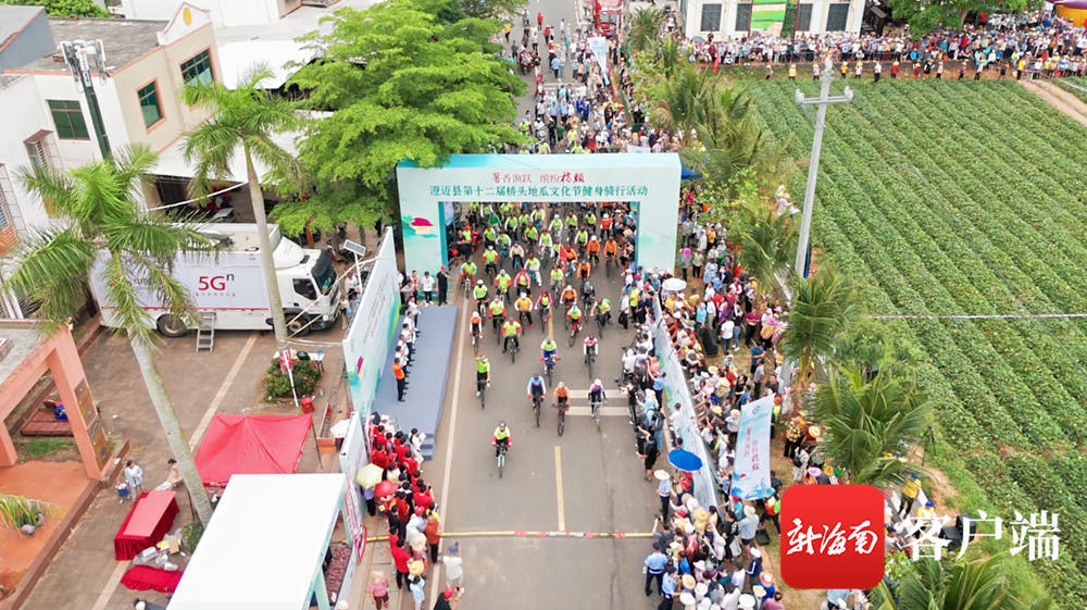 澄迈县桥头镇富硒地瓜(海南澄迈桥头富硒地瓜营养价值)-硒宝网