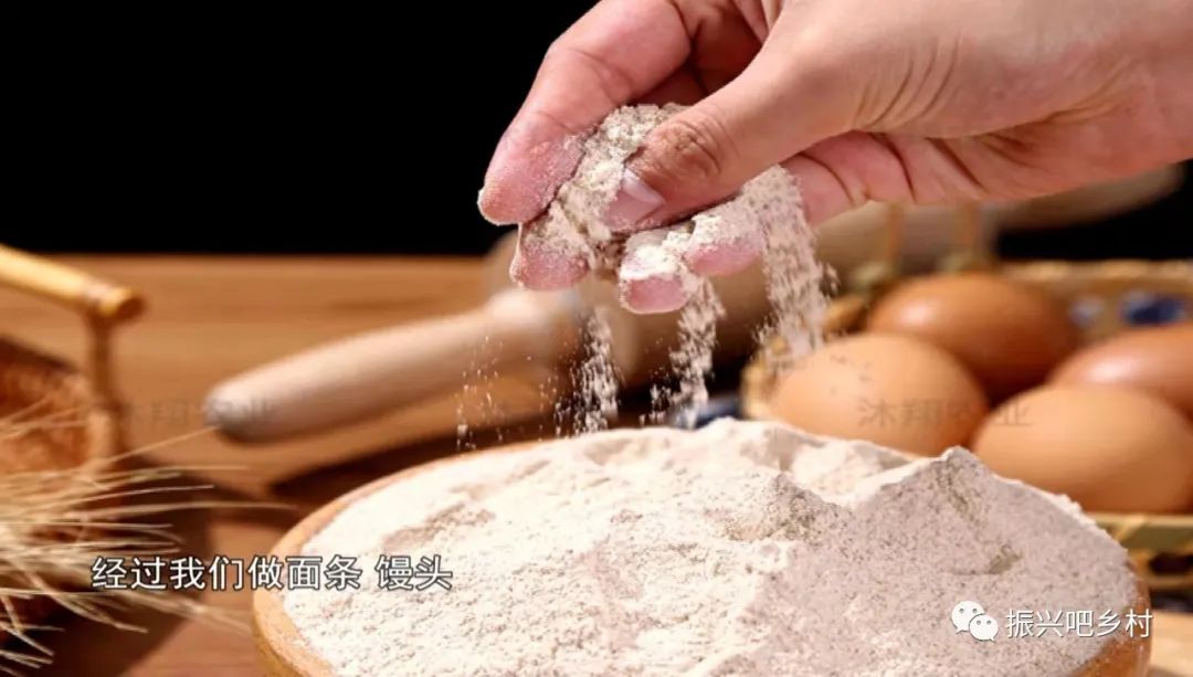 栾城富硒紫麦全麦面粉(富硒小麦面粉)-硒宝网