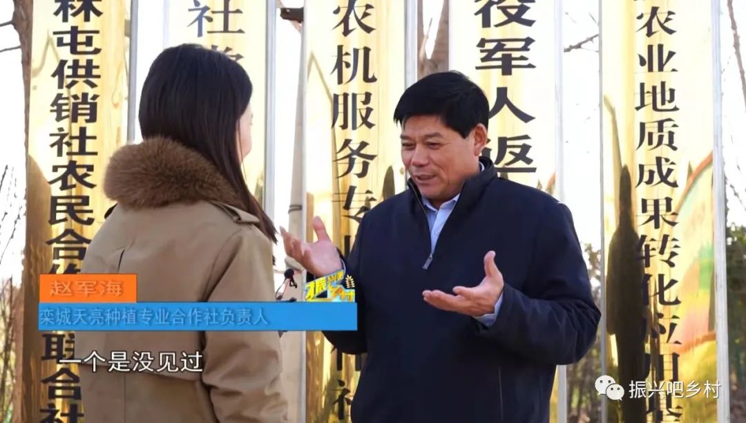 栾城富硒紫麦全麦面粉(富硒小麦面粉)-硒宝网