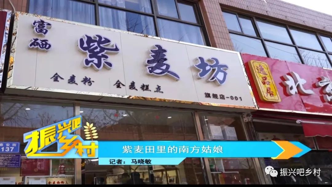 栾城富硒紫麦全麦面粉(富硒小麦面粉)-硒宝网