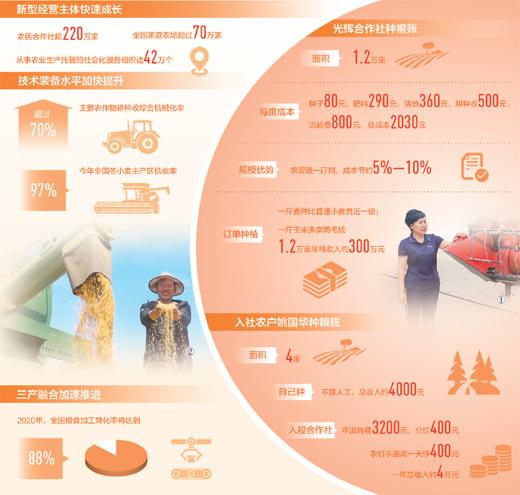 富硒营养面粉高筋面粉(富硒营养面粉好吗)-硒宝网