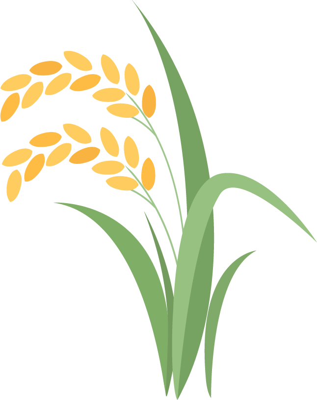 栾城富硒紫麦全麦面粉(富硒黑麦面粉营养成分表)-硒宝网