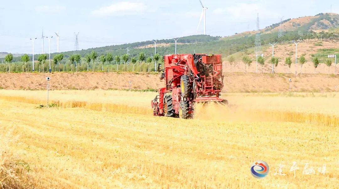 幸福麦田石磨富硒面粉（石磨富硒黑小麦面粉）-硒宝网