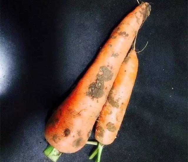 血糖高能吃富硒面粉吗（血糖高可以吃富硒康吗）-硒宝网