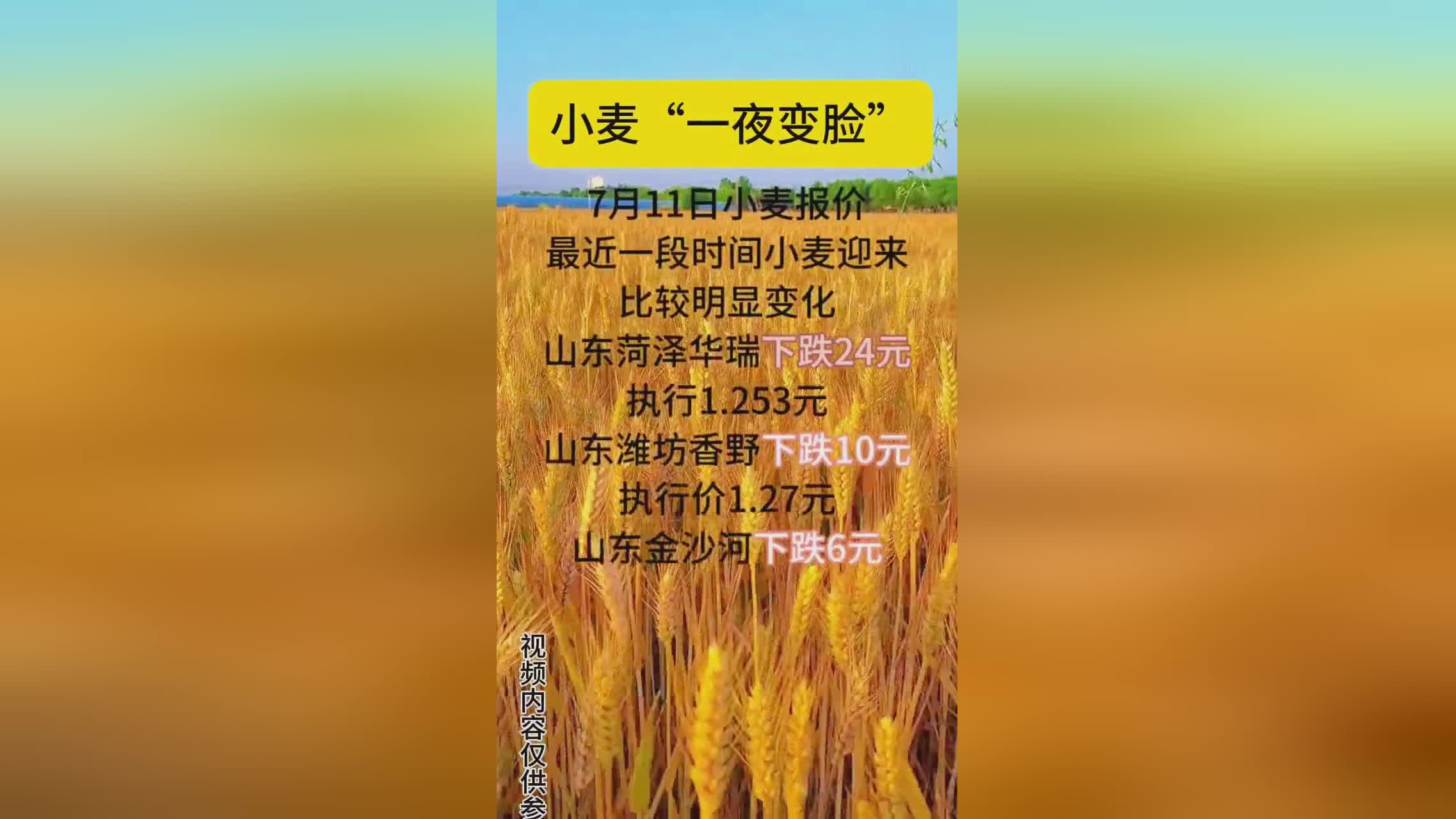 富硒小麦面粉价格走势(小麦面粉市场价多少钱一斤)-硒宝网