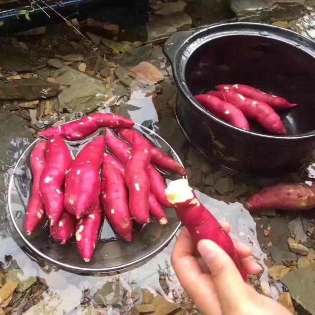 富硒面粉牛奶玉米淀粉（用玉米淀粉和牛奶做吃的）-硒宝网