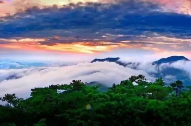 富硒面粉牛奶玉米淀粉（用玉米淀粉和牛奶做吃的）-硒宝网