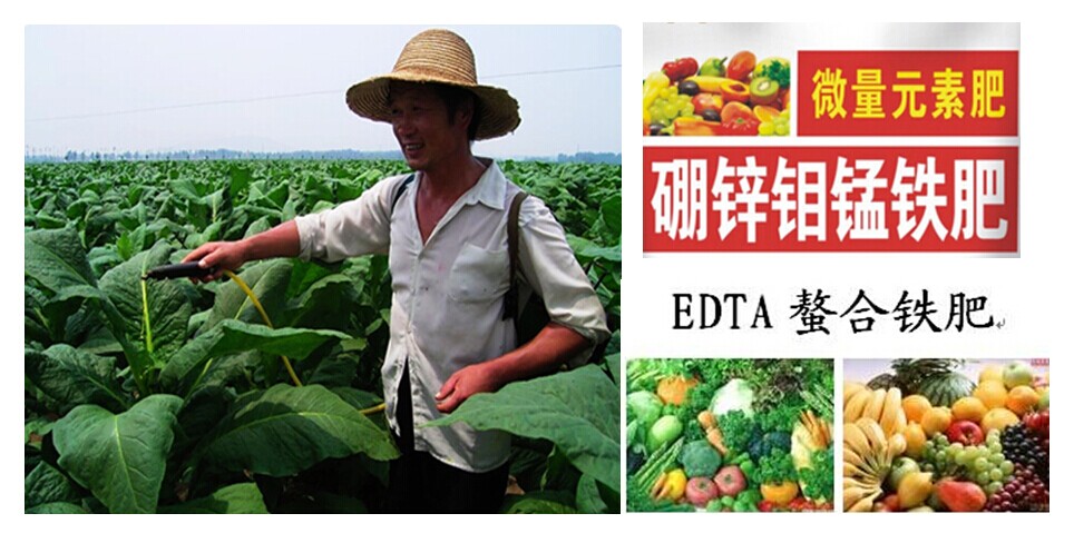 铁属于微量元素吗(微量元素中的铁是什么意思)-硒宝网