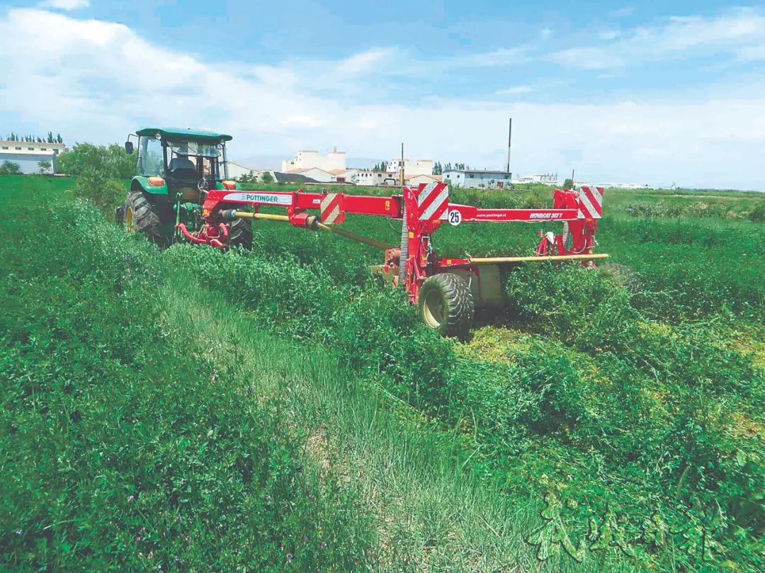 富硒面粉什么牌子最好(富硒面粉厂)-硒宝网