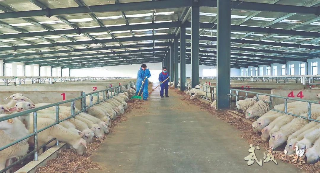 富硒面粉什么牌子最好(富硒面粉厂)-硒宝网