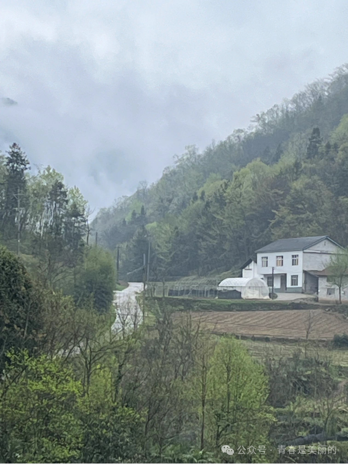 富硒面粉生产忙不忙呀(富硒面粉产地)-硒宝网