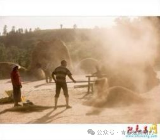 富硒面粉生产忙不忙呀(富硒面粉产地)-硒宝网