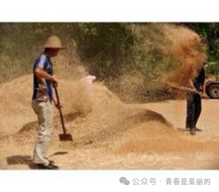 富硒面粉生产忙不忙呀(富硒面粉产地)-硒宝网