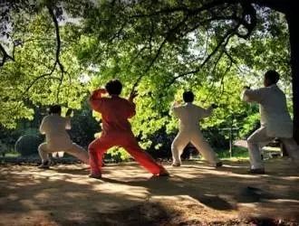 什么东西补钙（什么东西可以补钙）-硒宝网