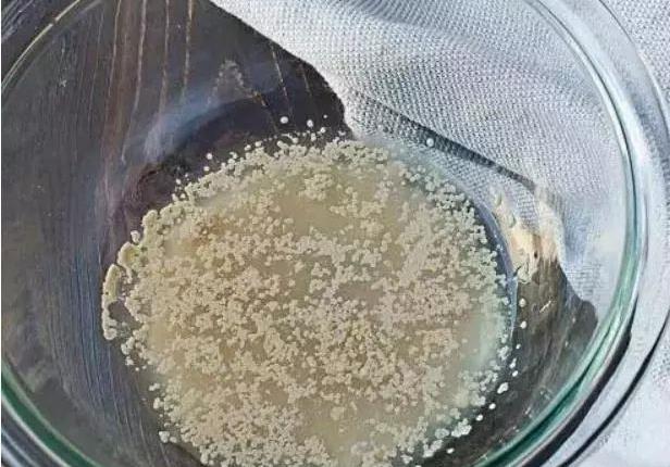 富硒面粉可以蒸包子吗（地瓜饼面粉可以蒸么）-硒宝网