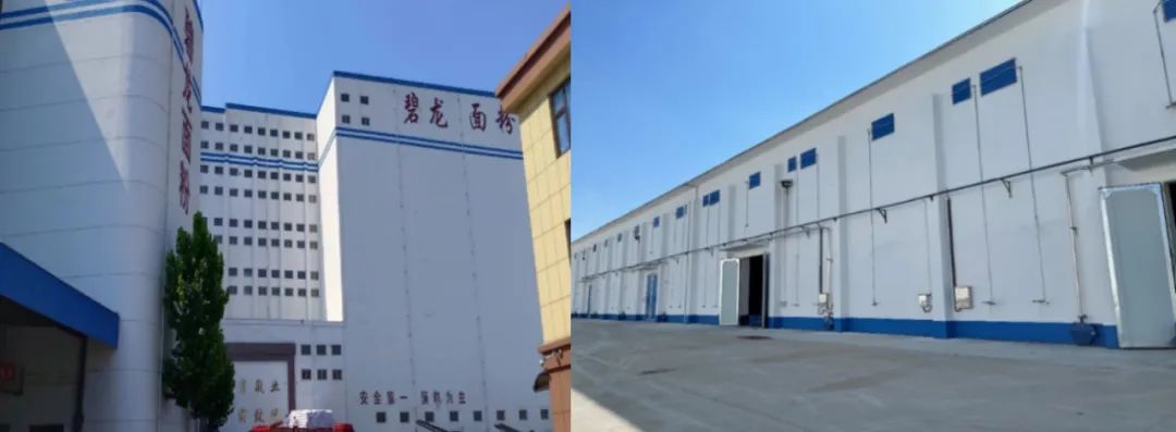 山东寿光碧龙富硒面粉(寿光市化龙镇碧龙面粉厂招聘)-硒宝网