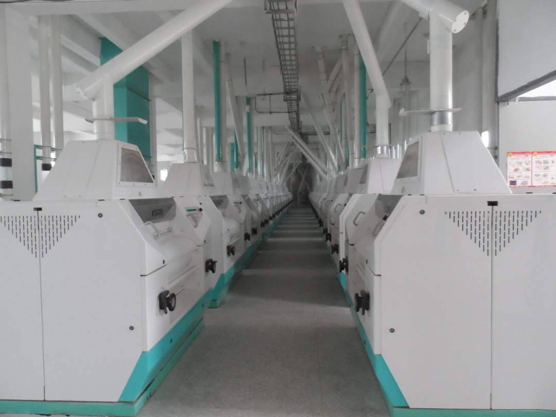 山东寿光碧龙富硒面粉(寿光市化龙镇碧龙面粉厂招聘)-硒宝网