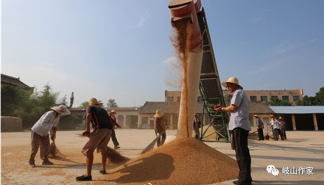 富硒面粉真的能抗癌吗（面粉能抗癌富硒吗）-硒宝网