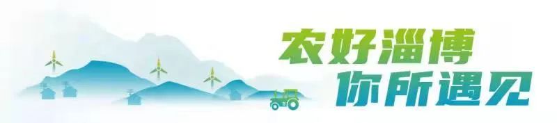 富硒面粉是什么颜色的(什么叫富硒面粉)-硒宝网