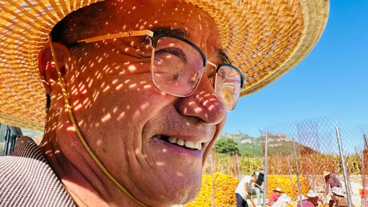 富硒面粉是什么颜色的(什么叫富硒面粉)-硒宝网