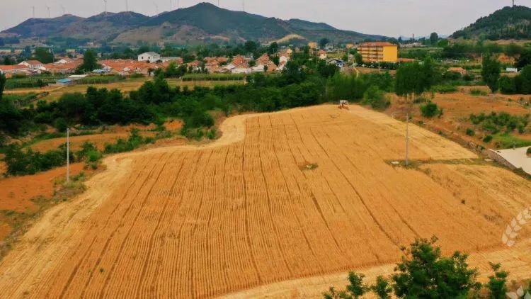 富硒面粉是什么颜色的(什么叫富硒面粉)-硒宝网