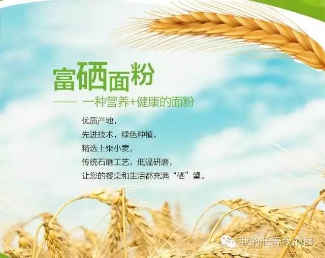 富硒面粉真的能抗癌吗(面粉能抗癌富硒蛋白吗)-硒宝网