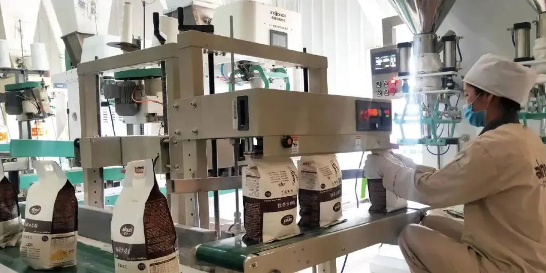 新疆富硒小麦面粉厂家(新疆哪里的小麦面粉最好)-硒宝网