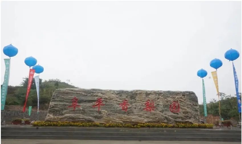 秦皇岛昌黎县富硒面粉（秦皇岛硒分布）-硒宝网